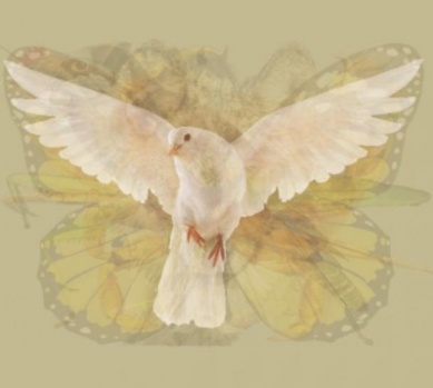 İlk Başta Ne Gördünüz? Kişisel Test!