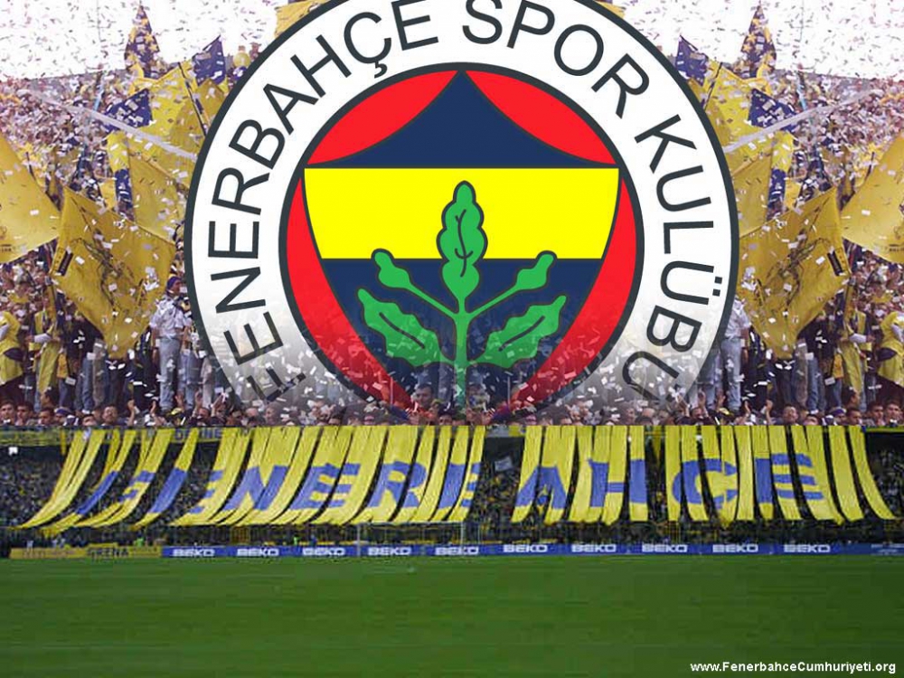 Fenerbahçe Futbol Takımı