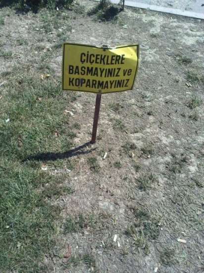 SANAL ALEMDE EN ÇOK BU KARELER TIKLANIYOR