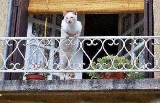 SANAL ALEMDE EN ÇOK BU KARELER TIKLANIYOR