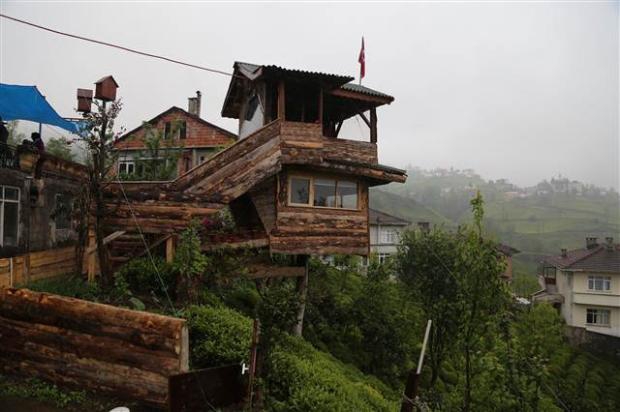 Kuzenine inat ceviz ağacına ev yaptı