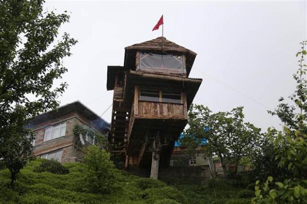 Kuzenine inat ceviz ağacına ev yaptı