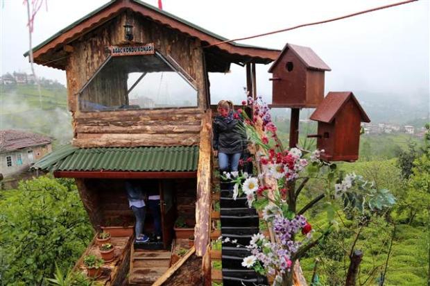 Kuzenine inat ceviz ağacına ev yaptı