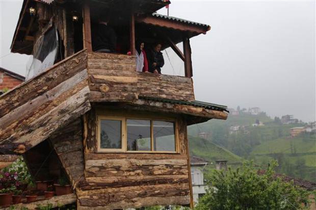 Kuzenine inat ceviz ağacına ev yaptı