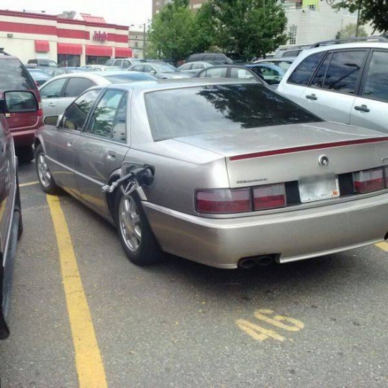 Günün En İlginç Kareleri