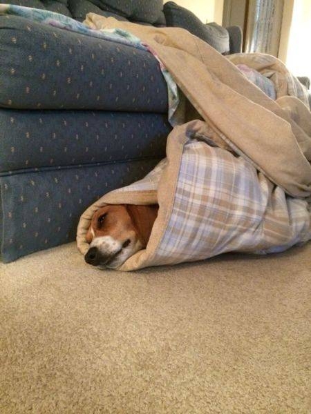 Günün En İlginç Kareleri