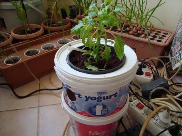 Türk evlerinin olmazsa olmazları!