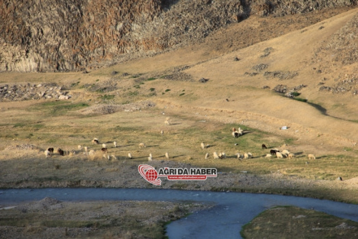 Diyadin'in Doyumsuz Manzarası: Diyadin Kanyonları