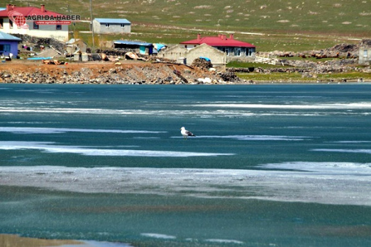 Balık Gölü Kış Resimleri