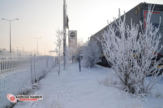 Ağrı Eksi 25 Derece - Kış Manzaraları