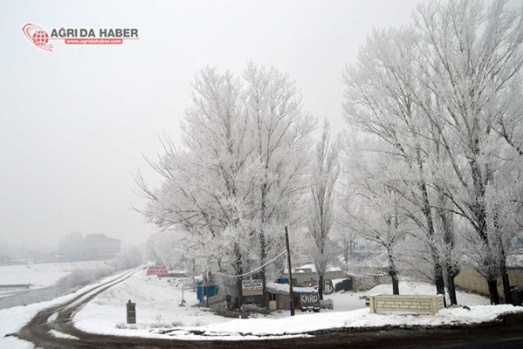 Ağrı'da Eksi 21 Derecede Kış Manzaraları