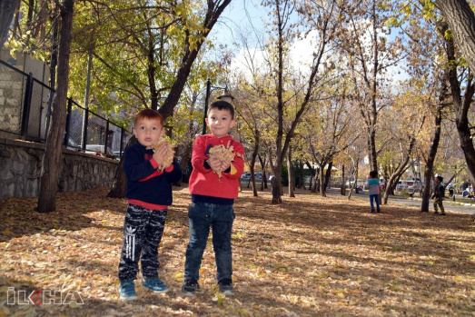 Ağrı Sonbahar Resimleri
