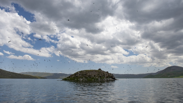 Ağrı'nın ve Doğunun Saklı Cenneti Balık Gölü Resimleri