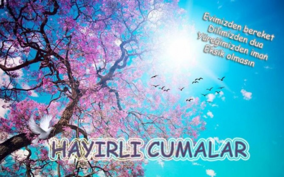 Resimli Cuma Mesajları Hadisli ve Ayetli Cuma Mesajları Cuma Mesajları 2018