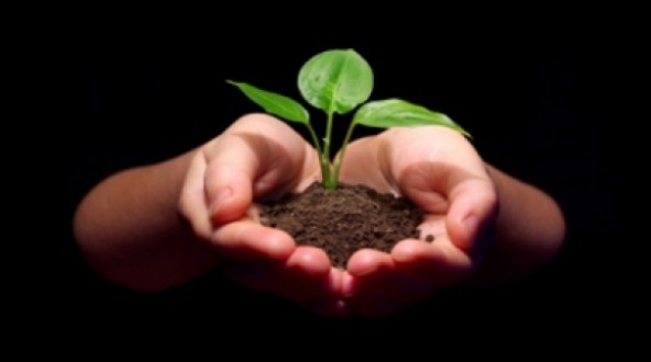 Ağrı'yı  Ağaçla Güzelleştiriyoruz