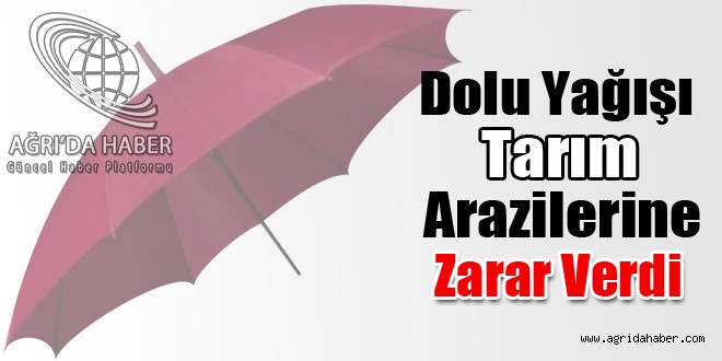 Ağrı'da Dolu Yağışı Tarım Arazilerine Zarar Verdi