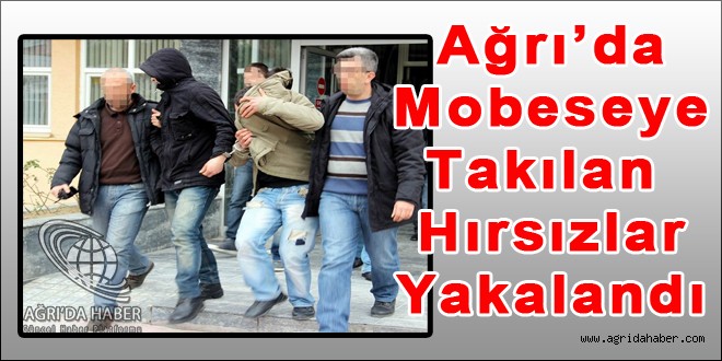 Ağrı'da Hırsızlara Suçüstü