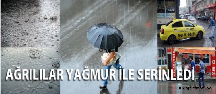 Yağmur Yağışı Ağrı'lıları Serinletti