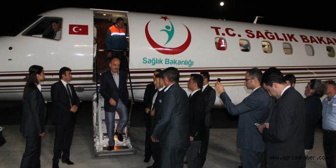 GAZZELİ YARLILAR TÜRKİYE'YE GETİRİLDİ