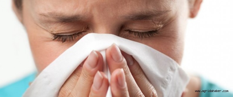 Domuz Gribini Diğer Griblerden Ayırmanın Yolları