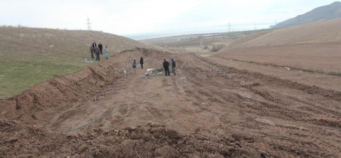 Adilcevaz'da 'Serada Aşılı Ceviz' Projesi