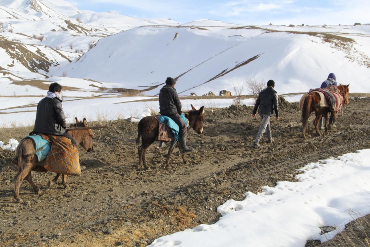 Ulaşımlarını at ve eşeklerle sağlıyorlar