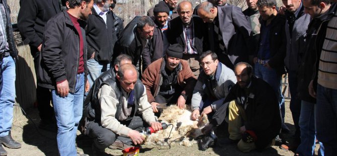 Tortum'da 'sürü yönetimi' kursu