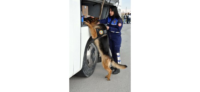 'Zeus' ve 'Oskar' kaçakçıların kabusu oldu