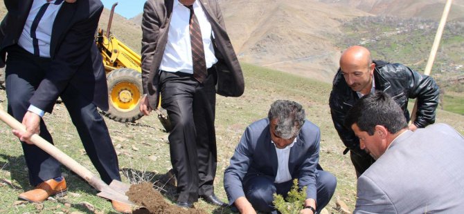 Çatak'ta 5 bin fidan dikildi