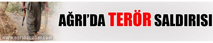 Ağrı'da terör saldırısı