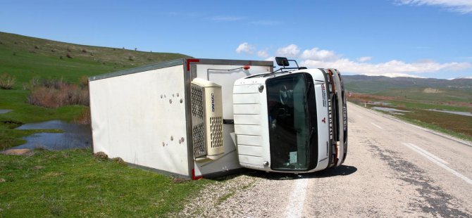 Muş'ta kamyonet şarampole devrildi