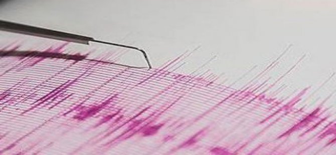 Bosna'da Depremle Sarsıldı