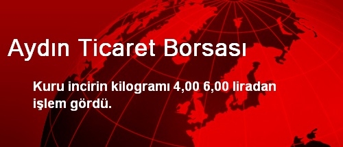 Aydın Ticaret Borsası