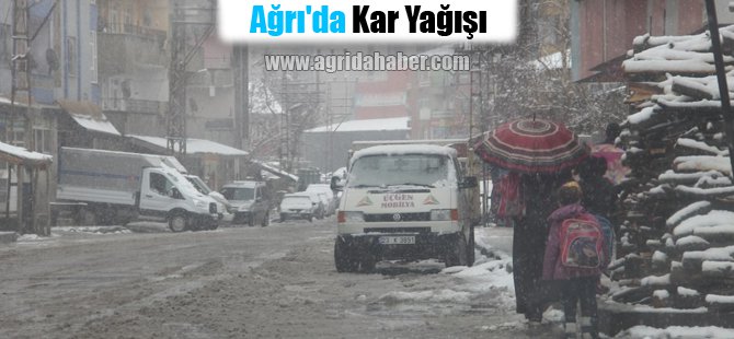Ağrı'da Kar Yağışı