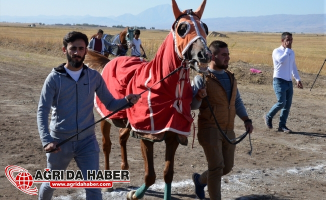 Ağrı Valiliği 2017 Mahalli At yarışları Yapıldı