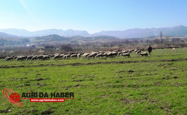 Doğu'da Meralar Su ile Buluştu