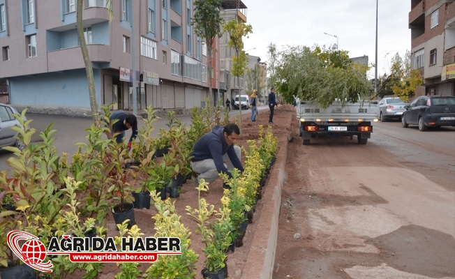 Doğubayazıt'ta Peyzaj Çalışmaları Başladı