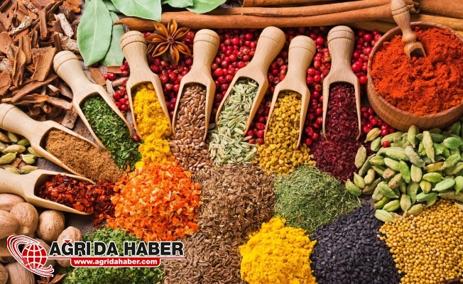 Kışın Tüketilecek Bağışıklık Güçlendirici Besinler