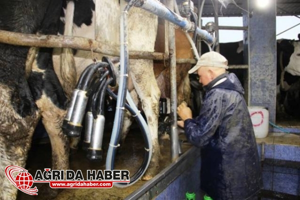 Sütün Ucuzlaması İçin 'Aracı Sayısı Azalsın' Dediler