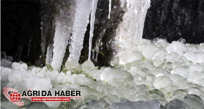 agri haber