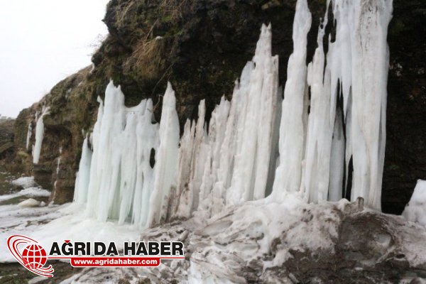 Ağrı'da Şelaleler Dondu! Dondurucu Soğuklar Sürüyor