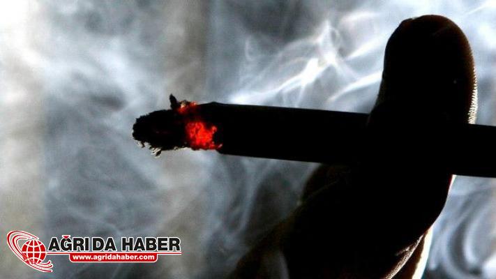 Sigara Tiryakilerine Müjde! Beyinde bitirecek Hücre bulundu