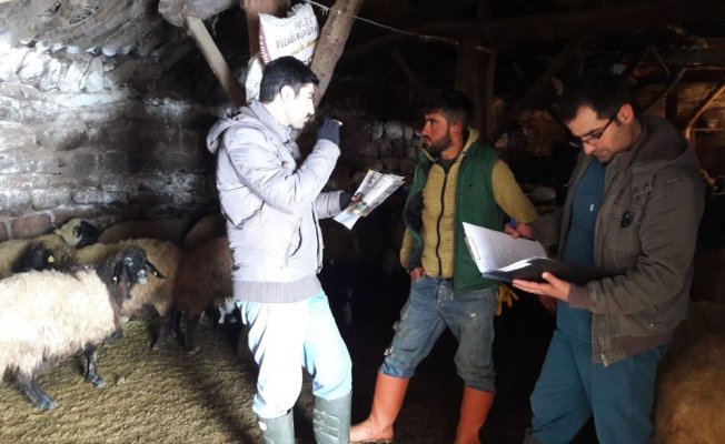 Tatvan’da hayvan ölümlerine karşı bilgilendirme eğitimi
