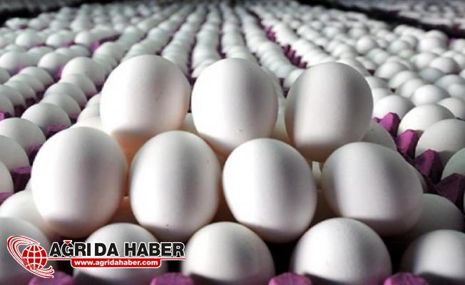 Türkiye İran'a 2 Bin Tırı Aşkın Yumurta Gönderecek