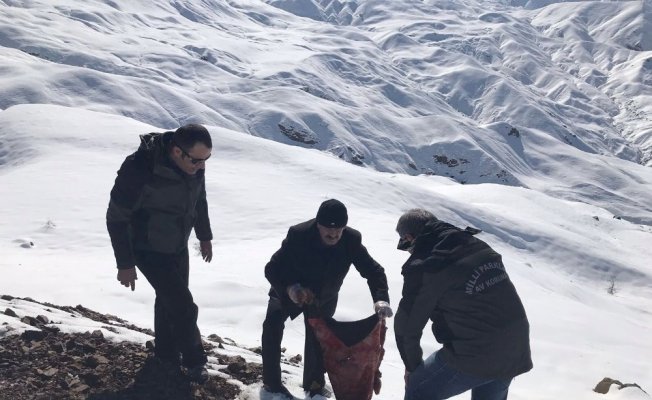 Yaban hayvanları için doğaya yem bırakıldı