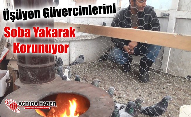 Ağrılı vatandaş soba yakarak güvercinlerini donmaktan koruyor