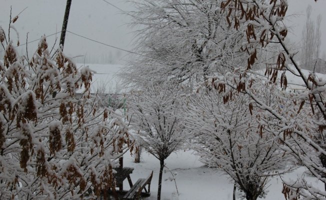 Van Başkale’de kar yağışı etkili oldu