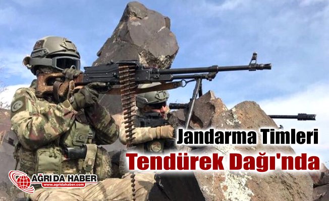 Jandarma Komando Timleri Ağrı Tendürek Dağı'nda operasyon başlattı