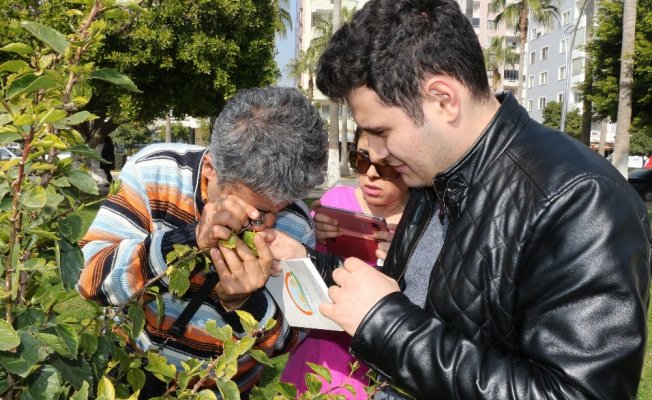 Mersin Büyükşehir Belediyesi’nden biyolojik mücadele