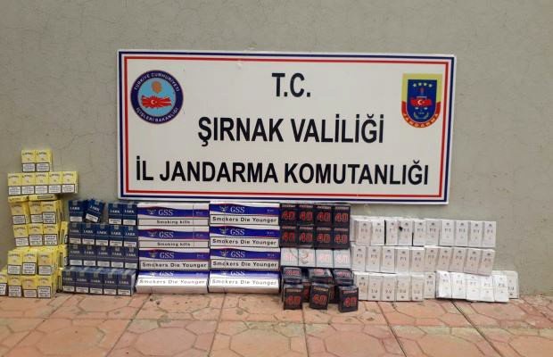 Şırnak’ta 3 bin 350 paket kaçak sigara ele geçirildi